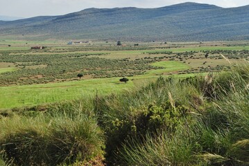 Obraz premium Paysages divers Algériens, hautes plaines, montagnes