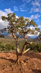 The scenic view of the natural scenery of Sedona, Arizona.  A spectacular tourist destination.