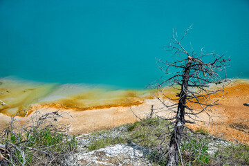 Colorful natural geyser pool in Yellowstone.