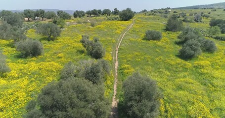 North of Israel, aerial view 4k footage. Aerial Shot Above Golan Height's at North Of Israel.