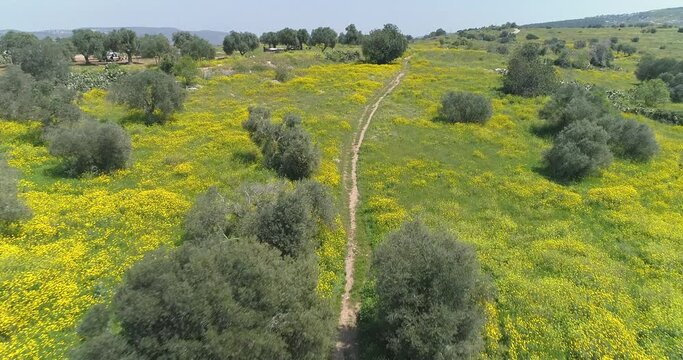 North of Israel, aerial view 4k footage. Aerial Shot Above Golan Height's at North Of Israel.