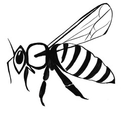 illustration of a bee, vector illustration