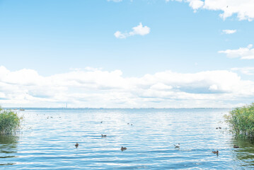 View of the Gulf of Finland in the park of the city of Peterhof in Russia