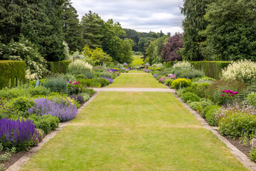 Long straight herbaceous borders at Newby Hall near Ripon.