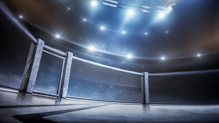 MMA cage. Side scene view under lights. Fighting Championship. Fight night. MMA octagon. 3D rendering