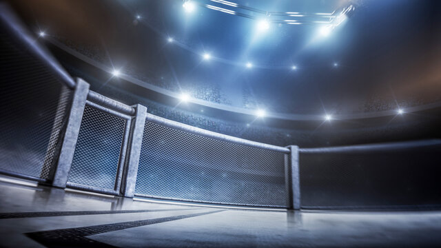 MMA cage. Side scene view under lights. Fighting Championship. Fight night. MMA octagon. 3D rendering
