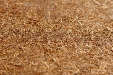 Plywood, pressed wooden panel,  particle board texture background