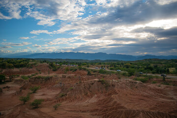 desertic horizon with dry forest 