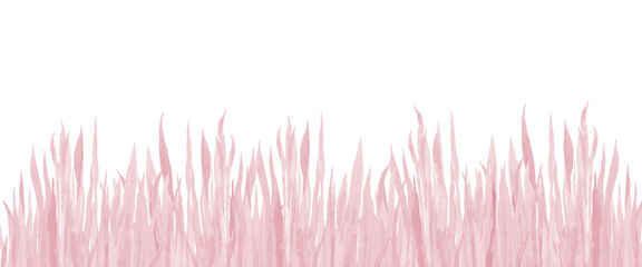 Pastel pink grass background border. Watercolour illustration on white background. Water color minimalist art.