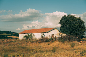 Fototapeta premium old farm house