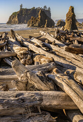 Sea stacks