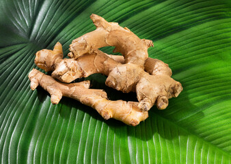Organic fresh ginger root - Zingiber officinale