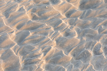 Fototapeta na wymiar Beach morning texture 072