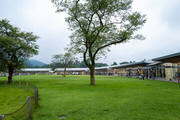 Fototapeta na wymiar 長野県軽井沢の風景 Scenery of Karuizawa, Nagano Prefecture 