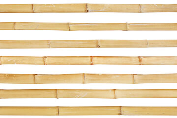 bamboo stalks on a white background with clipping path