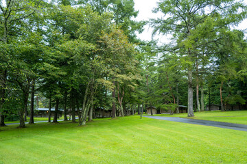 軽井沢のゴルフ場の風景 A view of the golf course in Karuizawa