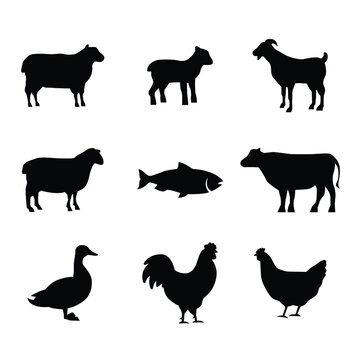 Silhouettes of Farm Animals. Cow, Goat, Sheep, Lamb, Hen, Fish, Duck. Farm Animals icons isolated on white background. Vector livestock icons. EPS 10