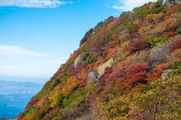 大分県の紅葉のくじゅう連山の風景  Mt.Kujyu range scenery of autumn leaves in Oita Prefecture 
