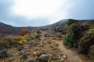 大分県の紅葉のくじゅう連山の風景  Mt.Kujyu range scenery of autumn leaves in Oita Prefecture 