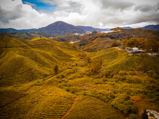 landscape in the mountains