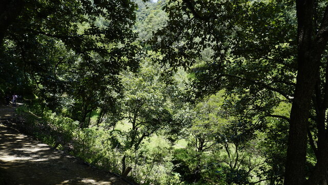 Cascada Chuveje