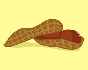 Vector illustration of the open roasted peanut