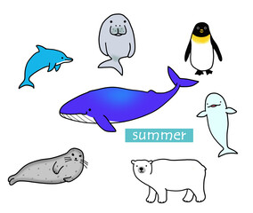 夏向け海の生き物イラスト集  © コハラ　ミズホ