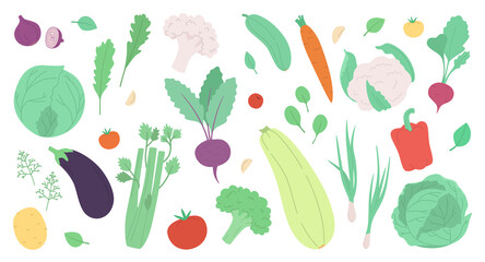 Set of fresh vegetables and herbs isolated on white. Modern vector illustration in a hand drawn style.