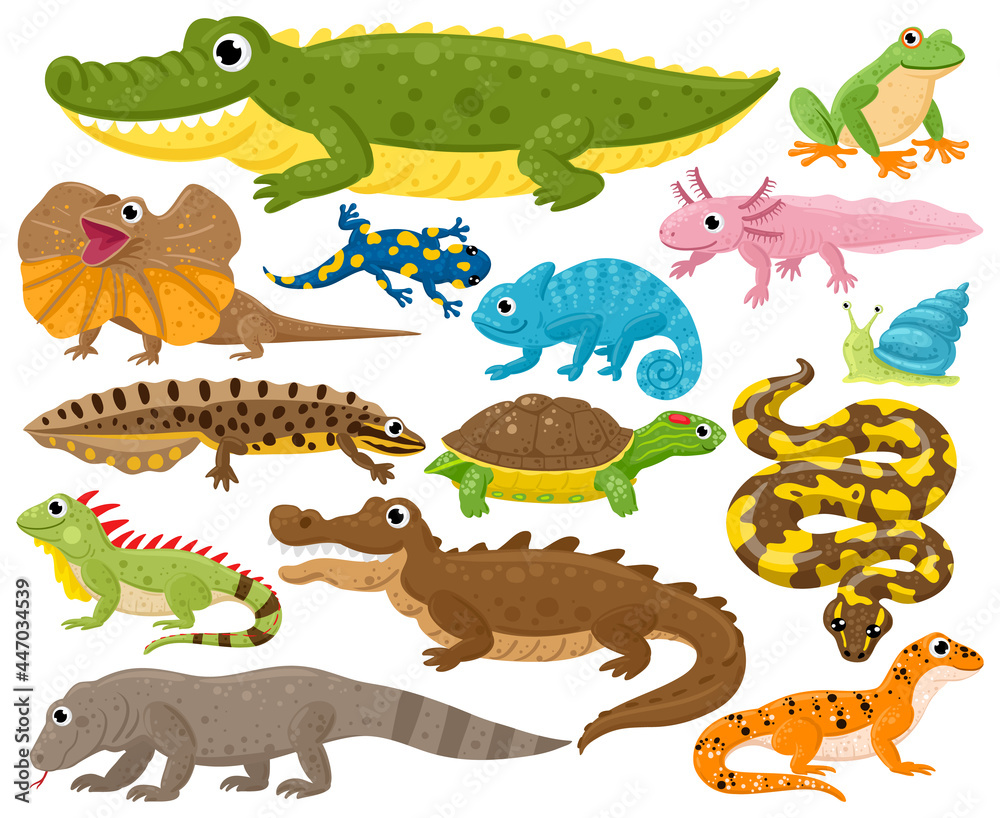 Wall mural reptiles and amphibians. cartoon frog, chameleon, crocodile, lizard and turtle, wildlife animals vec - Wall murals