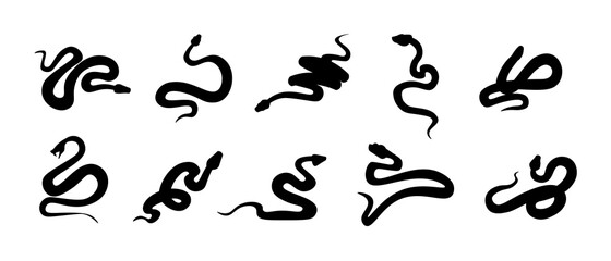 Black snakes. Silhouettes of reptiles with long tails. Wild serpents set. Simple shapes on white. Dangerous vertebrate animals signs. Tattoo template. Vector cold-blooded predators