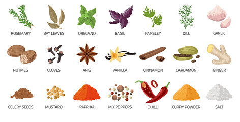 Cartoon spices. Food and dishes seasoning. Dry condiment. Chilli pepper and anise. Ginger root. Cardamom or curry powder. Oregano and basil. Vector salt or spicy cooking ingredient set - obrazy, fototapety, plakaty