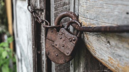 A pair of antique brown patina padlocks small and large on a rusty vintage chain close the old gray wooden door of a country house, barn or stable. Close-up, macro. Out of focus bushes in the back.