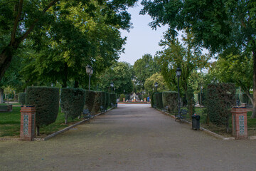 Fototapeta na wymiar Parque con árboles de una ciudad.