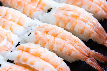 Ebi Nigiri Sushi or Sushi shrimp