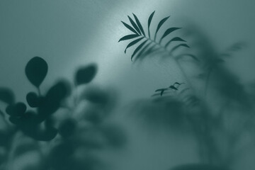 blurred picture with fog effect of palm leaves silhouettes behind frosted glass with backlight  
