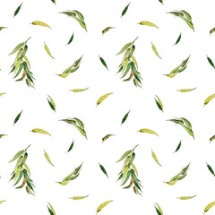 Abstract watercolor seamless pattern of branches and long eucalyptus leaves. Hand-painted eucalyptus branches and leaves isolated on a white background.