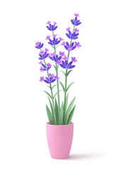 Fototapeta na wymiar 3D lavender flowers in pink pot isolated on white background