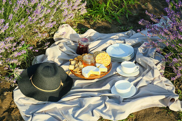 Tasty food for romantic picnic in lavender field