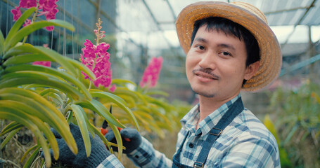 Portrait asian small business owner of orchid gardening farm, Happiness founder checking and...