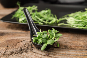 Spoon with fresh micro green on wooden background