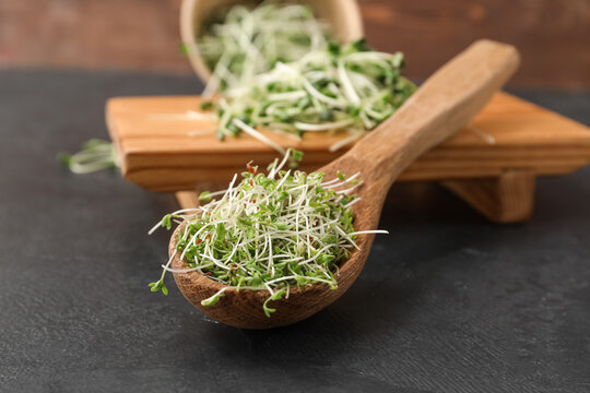 Wooden spoon with fresh micro green on dark background