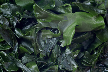 fresh raw wakame seaweed © aga7ta
