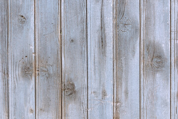 old spruce planks texture