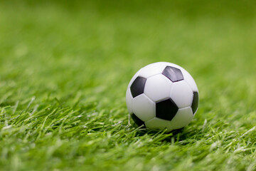 Obraz premium Soccer ball is on green grass