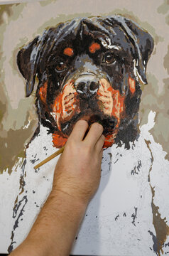 Man paints picture by number. Portrait of Rottweiler dog. Learni