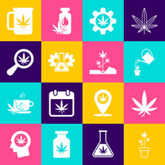 Set Marijuana plant in pot, or cannabis leaf, Watering marijuana, Test tube with, Magnifying glass and, Cup tea and Planting icon. Vector