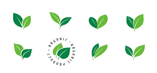 Fototapeta na wymiar Green leaf icons set. Ecology, organic product symbol isolated