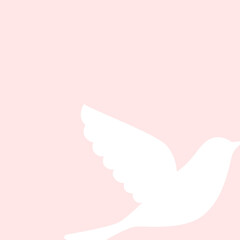 White dove bird on pink background. Peace, holiday, love, hope card.