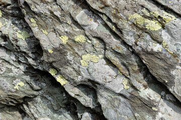 Stone with green lichen close up. Stone texture. Stone pattern