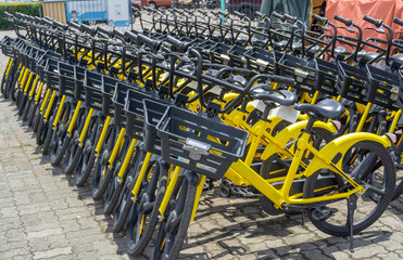 Rental bike station in the park